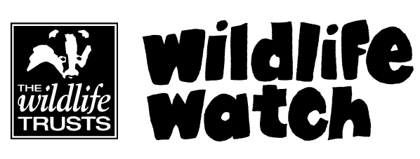 Wildlife Trusts Wildlife Watch