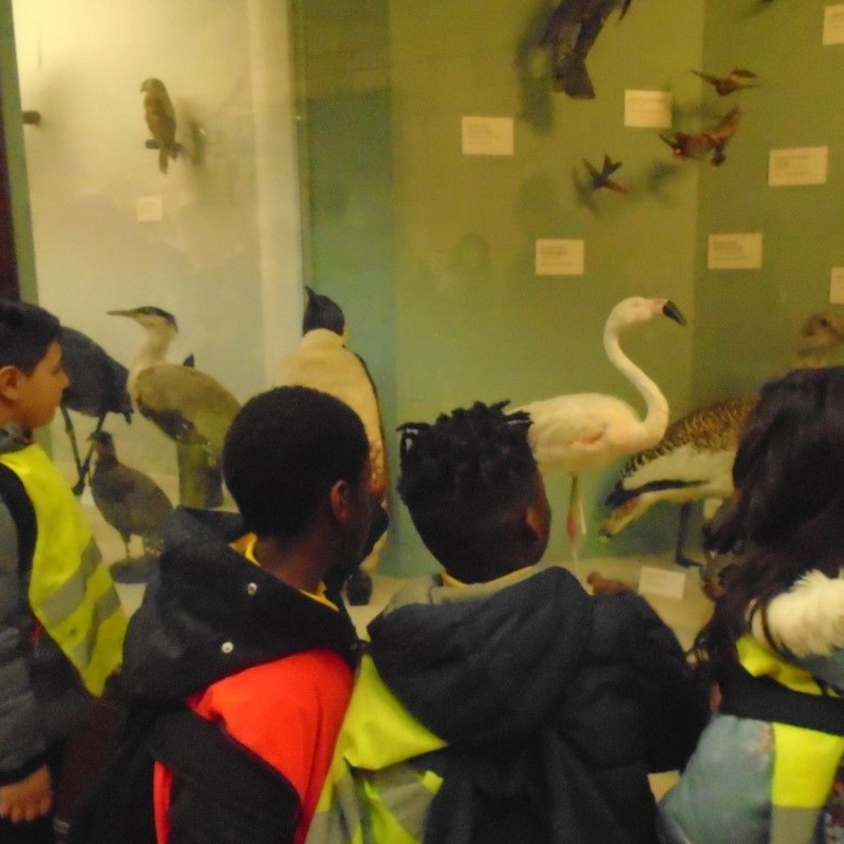 Year 2 Visit The Natural History Museum - John Keble C of E Primary School
