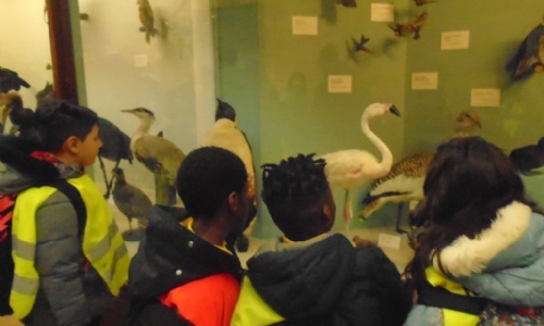 Year 2 Visit The Natural History Museum
